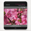 Search for cherry electronics Professional