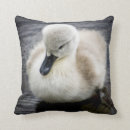 Search for baby swan pillows Bird