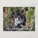 Recherche de merit cartes postales Toute personne