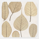 Search for vintage drawing stickers Botanical