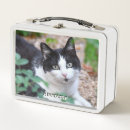 Recherche de image drôle de chat Chaton