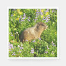 Recherche de marmotte serviettes Mammifère