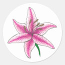 Search for easter lily stickers Lilies