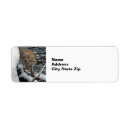 Search for stream return address labels Snow
