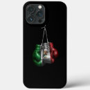 Search for mexico flag iphone cases Vintage