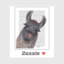 Search for llama lover stickers Llamas