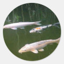 Search for koi fish pond stickers Nature