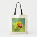 Recherche de pollen sacs Insecte
