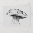 Search for boletus postcards Mushroom