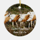 Search for antelope ornaments Deer
