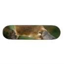 Search for furry skateboards Cute