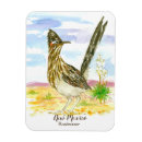 Recherche de mexique magnets Yucca