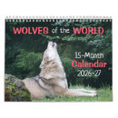 Recherche de loups calendriers Photographie