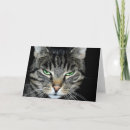 Search for accept cards Cat