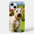 Recherche de scottish terrier iphone coques Écossais