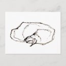 Search for cats sleeping postcards Zen cat