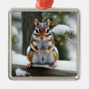 Search for chipmunk ornaments Wildlife