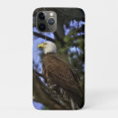 Search for bald eagle iphone cases Bird of prey