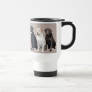 Search for labrador retriever travel mugs Labs