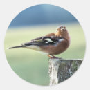 Recherche de finition autocollants Mignon