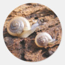 Recherche de escargots autocollants Animal