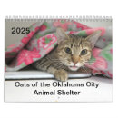 Search for cat calendars Pets