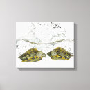 Recherche de blooded art Coquilles