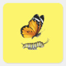 Search for monarch caterpillar stickers Cute
