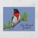 Recherche de oiseau rouge cartes postales Nature
