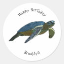 Search for cartoon turtles stickers Sea
