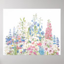 Search for beautiful garden posters Lily