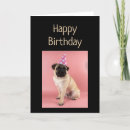 Search for pug dog birthday cards Pugs