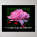 Search for purpose of life posters Flower