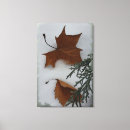 Search for maple canvas prints Leaf