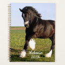 Recherche de clydesdale horse Équestre