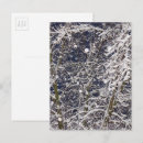 Search for nature tree postcards Black and white