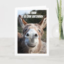 Search for same cards Donkey