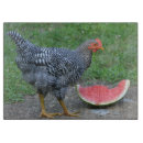 Recherche de poulet planches à découper Ferme