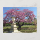 Recherche de printemps à paris cartes postales Paysage