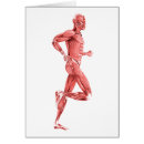 Search for trapezius Myology