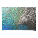 Search for peacock pillowcases Nature