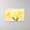 Search for yellow daffodil canvas prints Plant