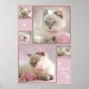 Search for paper doll cats Kitten