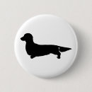 Search for long haired buttons Dachshund