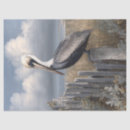 Search for 18lb tissue paper Bird