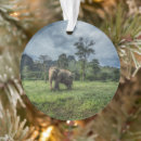 Search for strength ornaments Forest