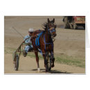 Recherche de cheval de baie cartes postales Photographie