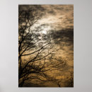 Search for cloudy sky art Orange