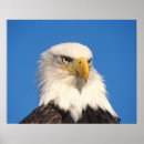 Search for threatened art Wildlife
