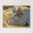 Search for pig puzzles Cute